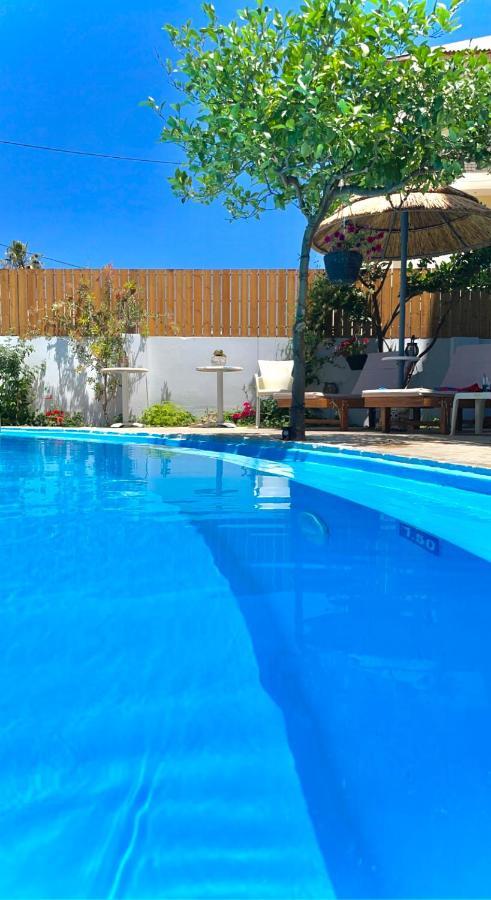 Amoudara Lasithiou Rodi Blue Apartments מראה חיצוני תמונה